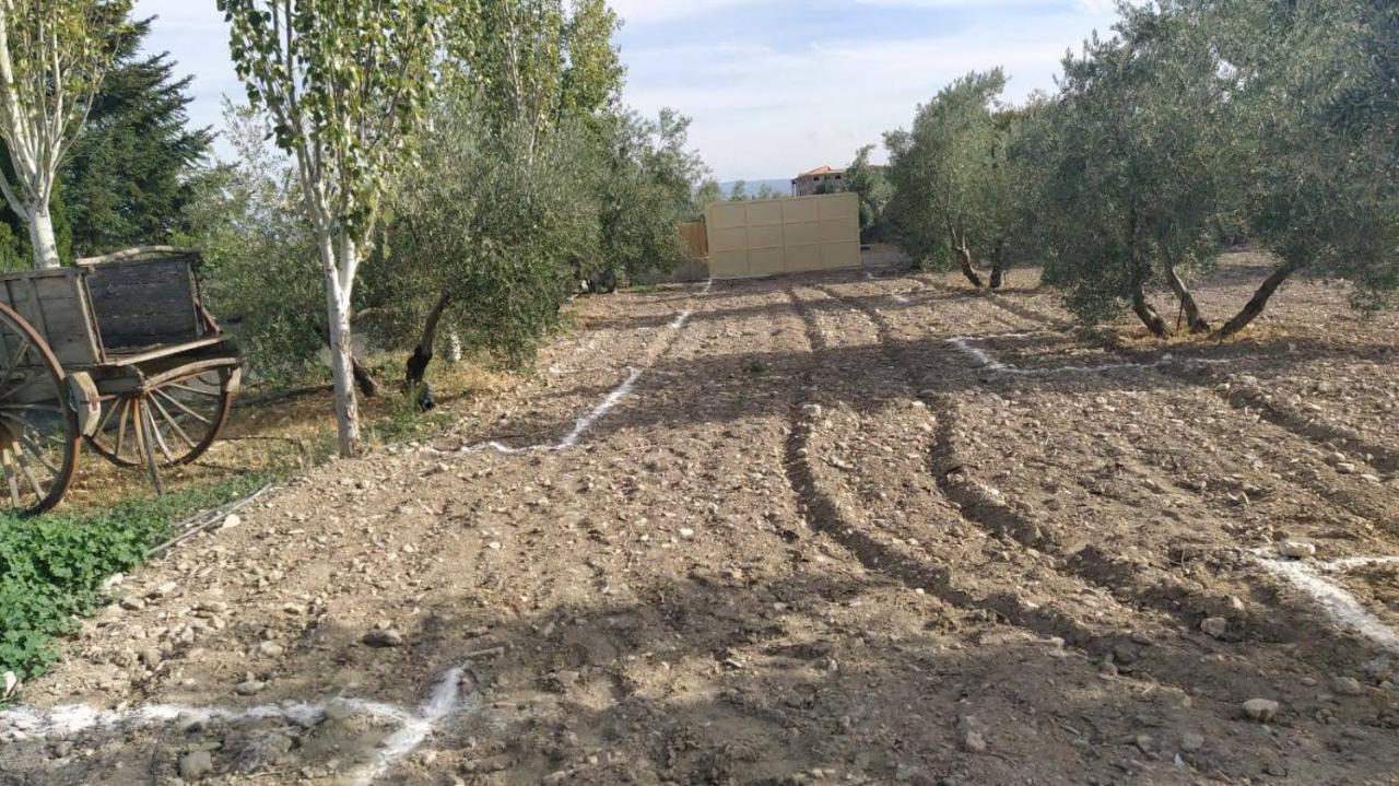 Cortijo La Torre De Caniles La Vega  ภายนอก รูปภาพ