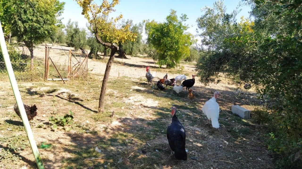 Cortijo La Torre De Caniles La Vega  ภายนอก รูปภาพ